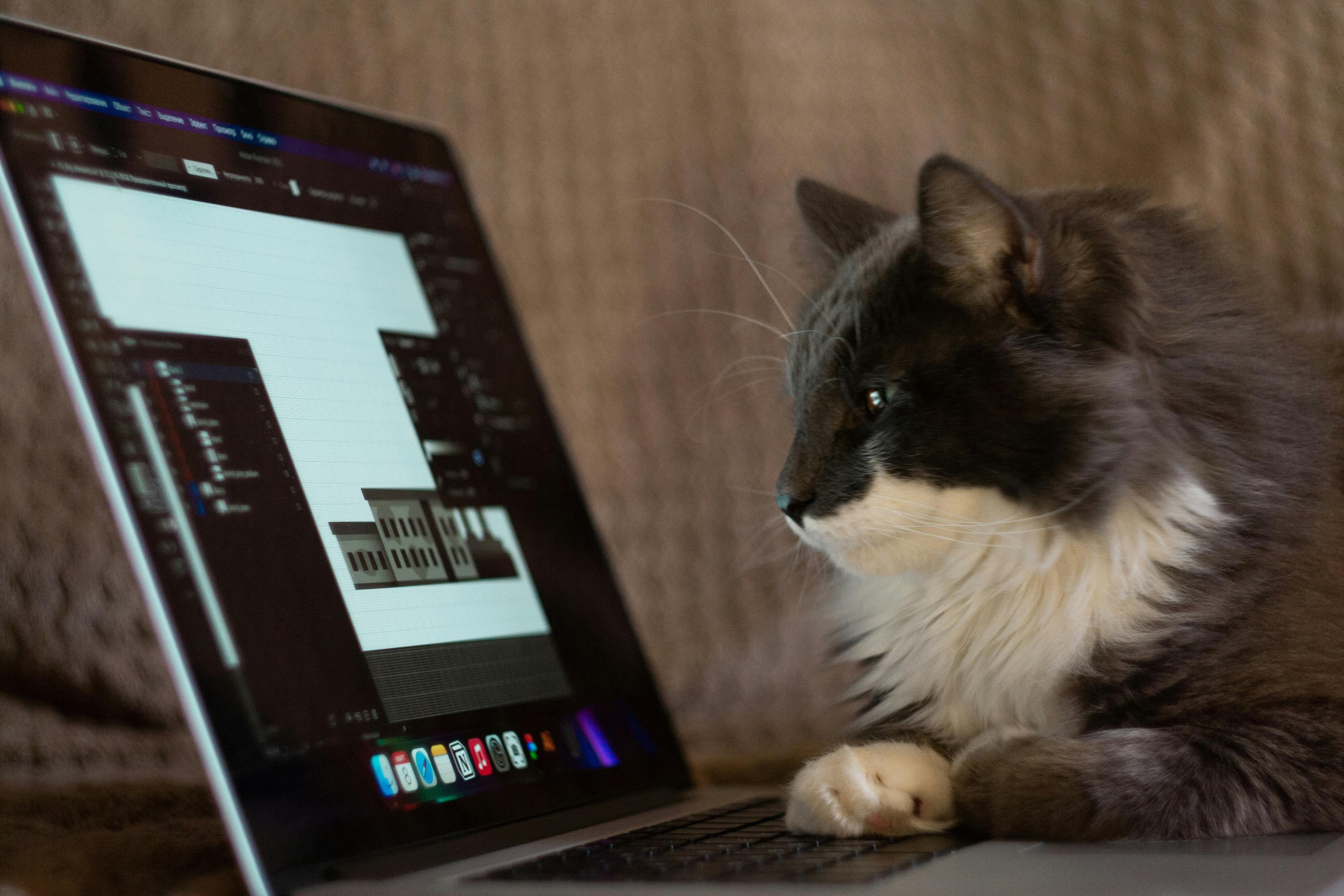 Évaluation comportementale de PawsConnect