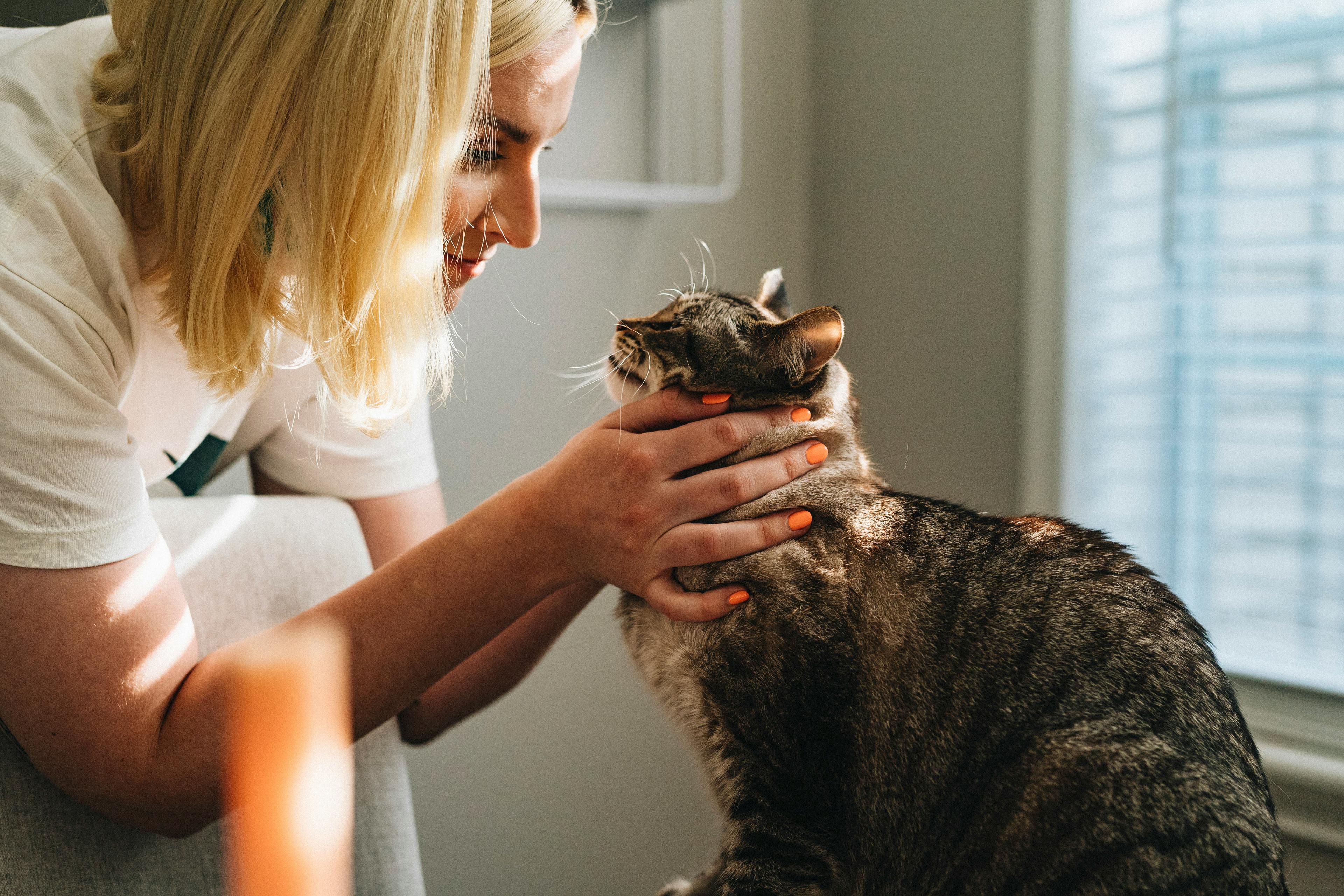 Main heureuse d'un propriétaire caressant son chien